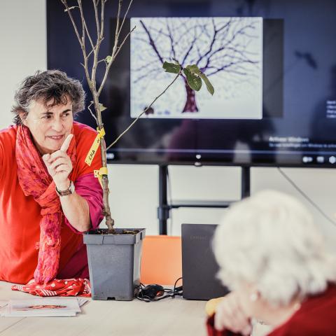 Een vrouw met rode blouse en sjaal geeft uitleg over oude appel- en perensoorten aan de hand van foto's en een jong boompje dat op tafel staat.